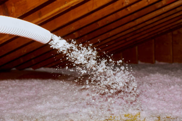 Best Insulation Maintenance and Repair in Rpinteria, CA
