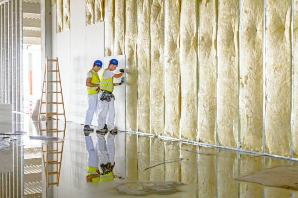 Best Commercial Insulation in Rpinteria, CA